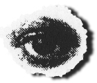 SPT logo